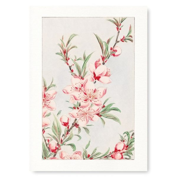 Japanese Block Print - Peach Blossom on Sale